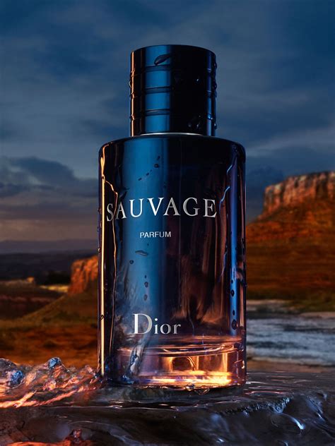 dior sauvage評價|Sauvage Dior cologne .